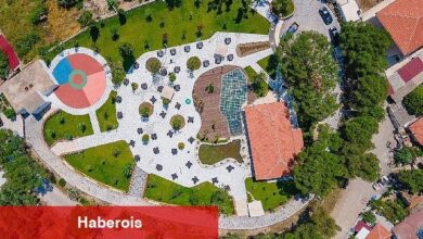 Esentepe Parkı'nda mutlu son - Haberois Esentepe Parkı'nda mutlu son