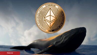 Ethereum Satan Balinalar, Bu Yapay Zeka Coine Daldı! - Haberois Ethereum Satan Balinalar, Bu Yapay Zeka Coine Daldı!