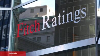 Fitch’ten Türkiye açıklaması: Dolar değil faiz çıpa olabilir - Haberois Fitch’ten Türkiye açıklaması: Dolar değil faiz çıpa olabilir