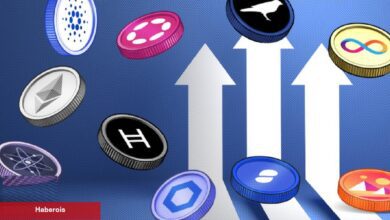 GitHub Patlaması Yaşayan 10 Altcoin Aşikâr Oldu! - Haberois GitHub Patlaması Yaşayan 10 Altcoin Aşikâr Oldu!