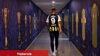 Hajradinovic, Fenerbahçe'nin yeni golcüsü Dzeko'yu anlattı!