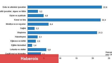 Hanehalkı bütçesinden en fazla pay gıda ve alkolsüz içecek harcamasına ayrıldı