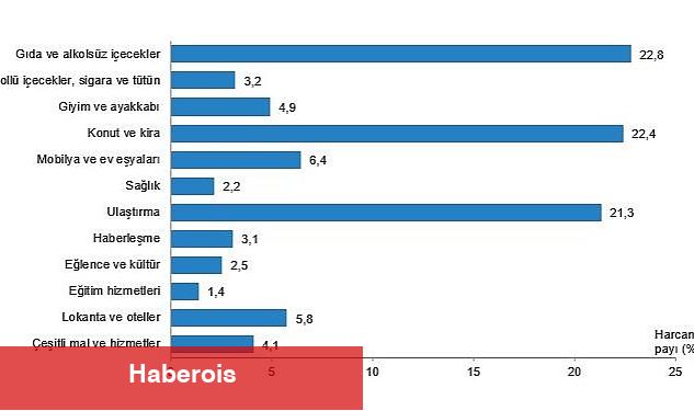 Hanehalkı bütçesinden en fazla pay gıda ve alkolsüz içecek harcamasına ayrıldı - Haberois Hanehalkı bütçesinden en fazla pay gıda ve alkolsüz içecek harcamasına ayrıldı