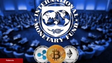 IMF, Kripto Para İçin Yeni Rapor Yayınladı!