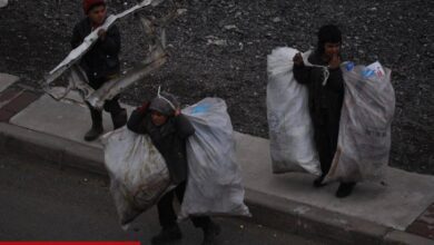 İSİG Meclisi’nden ’12 Haziran’ Raporu: 22 Yılda 888 Çocuk İşçi Hayatını Kaybetti! - Haberois İSİG Meclisi’nden ’12 Haziran’ Raporu: 22 Yılda 888 Çocuk İşçi Hayatını Kaybetti!