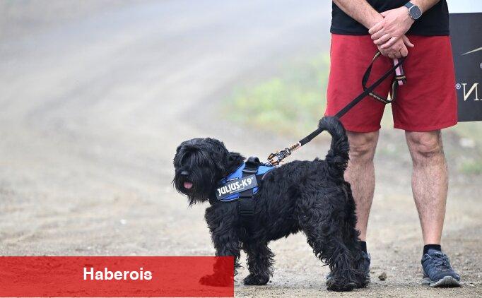 İzmir'de köpekle kros aktifliği düzenlendi - Haberois İzmir'de köpekle kros aktifliği düzenlendi