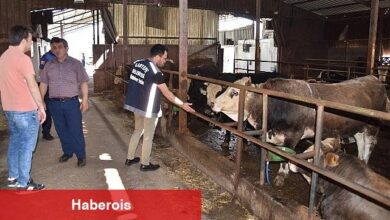 Kartepe'de kurban satışını sıkı denetim 