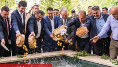 Kayısı Festivali ekonomiye katkı sağlıyor - Haberois Kayısı Festivali ekonomiye katkı sağlıyor