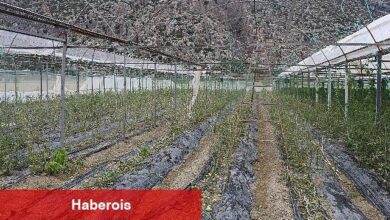 Korkuteli Kayabaş'ı hortum ve dolu vurdu