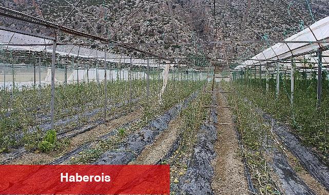 Korkuteli Kayabaş'ı hortum ve dolu vurdu - Haberois Korkuteli Kayabaş'ı hortum ve dolu vurdu