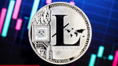 Kritik Düşüşleri Bilen Analistten Bitcoin, XRP ve LTC Tahmini!