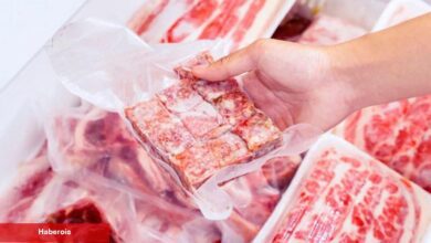 Kurban eti seyahatte nasıl saklanır? 2023 en âlâ buzluk termos modelleri ve fiyatları