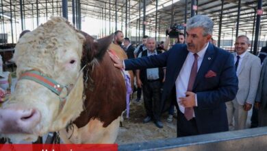 Kütahya'da 'Kurban Pazarı' açıldı