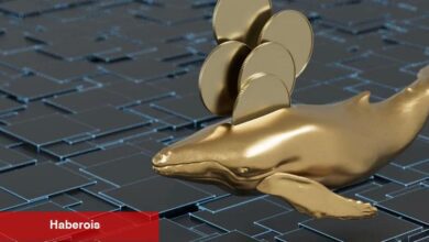 Listeye Dikkat: İşte Balina Konsantrasyonu En Yüksek Altcoinler!