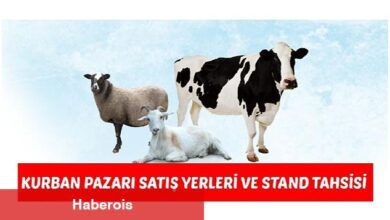 Malkara Belediyesi Kurban Pazar Satış Yerleri ve Stand Tahsisi Duyurusu - Haberois Malkara Belediyesi Kurban Pazar Satış Yerleri ve Stand Tahsisi Duyurusu