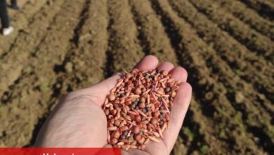 Manisalı çiftçilere hibeli projeler yaradı