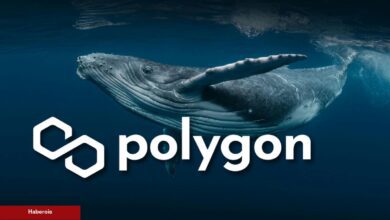 MATIC Fiyat Düşüşünün Ardında Bu Balinalar mı Var! - Haberois MATIC Fiyat Düşüşünün Ardında Bu Balinalar mı Var!