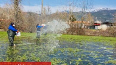 Muğla'da yağış sonrası vektörle mücadele sürüyor - Haberois Muğla'da yağış sonrası vektörle mücadele sürüyor