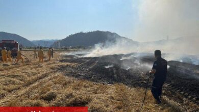 Muğla'dan anız yangınlarına karşı uyarı