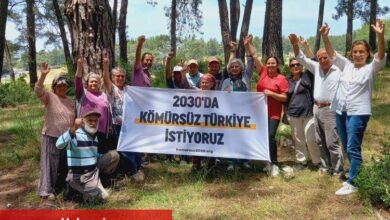 Ortak sesle 'Kömürsüz Türkiye' istediler - Haberois Ortak sesle 'Kömürsüz Türkiye' istediler