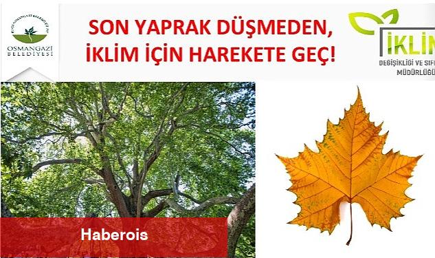 Osmangazi, iklim değişikliği ile mücadelede yol haritasını belirledi - Haberois Osmangazi, iklim değişikliği ile mücadelede yol haritasını belirledi