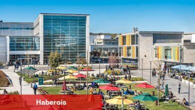 Özyeğin Üniversitesi, THE Impact Ranking'te son 5 yıldır Türkiye'nin En İyi Vakıf Üniversitesi - Haberois Özyeğin Üniversitesi, THE Impact Ranking'te son 5 yıldır Türkiye'nin En İyi Vakıf Üniversitesi