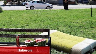 Parkta üzücü görüntüler: Şehir magandaları yine zarar verdi