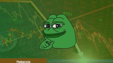 PEPE De Var! SEC-Binance Savaşı Göğüs Coinleri Sert Vurdu - Haberois PEPE De Var! SEC-Binance Savaşı Göğüs Coinleri Sert Vurdu