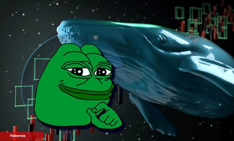 PEPE, SHIB Unutun! Akıllı Para Bu 6 Coinden Topluyor! - Haberois PEPE, SHIB Unutun! Akıllı Para Bu 6 Coinden Topluyor!