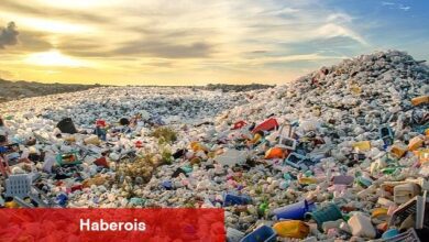 Plastikler anne karnına, insan kanına kadar girdi!