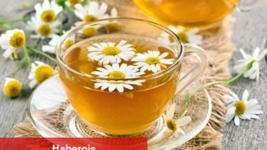 Regl ağrılarını hafifleten bitki çayları - Haberois Regl ağrılarını hafifleten bitki çayları