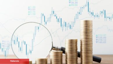 Santiment’ten Değerli Varsayım: Bu 7 Altcoin İzlenmeli! - Haberois Santiment’ten Değerli Varsayım: Bu 7 Altcoin İzlenmeli!