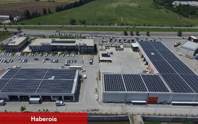 Santral devrede girdi, 5 bin 600 ağaç kurtuldu
