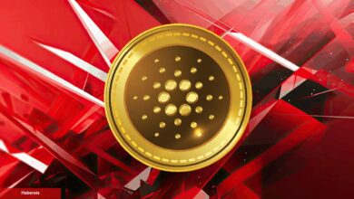 SEC, Artık de Cardano ve Bu 4 Altcoini Amaç Aldı!