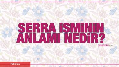 Serra isminin manası nedir? Serra ismi Kuran'da geçiyor mu? Serra isminde kaç kişi var? - Haberois Serra isminin manası nedir? Serra ismi Kuran'da geçiyor mu? Serra isminde kaç kişi var?