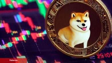 SHIB, DOGE Değil! Bu Altcoin İçin 10 Dolar Tahmini! - Haberois SHIB, DOGE Değil! Bu Altcoin İçin 10 Dolar Tahmini!