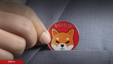 SHIB Grubundan Korkutan Varsayım: Düşüş Başlamadı Bile!