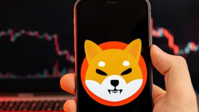 Shiba Inu Yatırımcıları Müjde: Gizemli Eser Açıklandı!