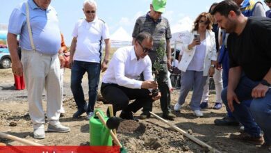 Silivri'de 5 bin 100 adet yağlık zeytin fidanı toprakla buluştu