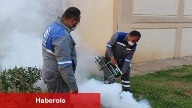 Sineksiz yaz için ilaçlama ordusu iş başında