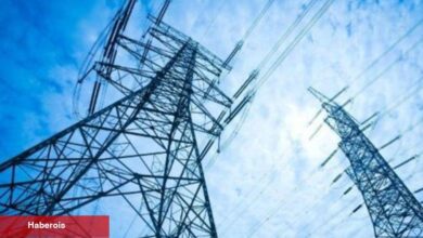 Spot piyasada elektrik fiyatları (12.06.2023)