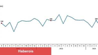 Tavuk eti üretimi 180 bin 495 ton, tavuk yumurtası üretimi 1,65 milyar adet olarak gerçekleşti