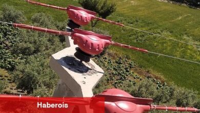 Toroslar EDAŞ Hatlarını Yalıttı, Kuşlar Kanatlarını Hayata Çırptı - Haberois Toroslar EDAŞ Hatlarını Yalıttı, Kuşlar Kanatlarını Hayata Çırptı