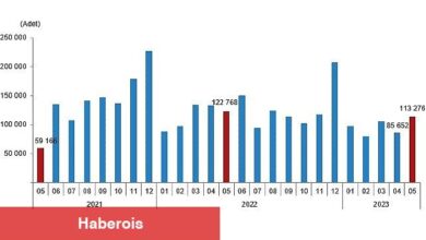 Türkiye genelinde Mayıs ayında 113 bin 276 konut satıldı