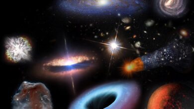 Türklerin Sepetindeki Bu 2 Altcoin Haziran Yıldızı Mı? - Haberois Türklerin Sepetindeki Bu 2 Altcoin Haziran Yıldızı Mı?