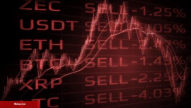 Uzman: SEC Dump’ından Sonra Alınacak 5 Altcoin Bunlar!