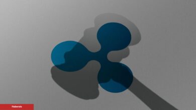 Uzmanlar: Ripple Davası Bu Tarihte Bitecek! “Kazanan SEC Olacak” - Haberois Uzmanlar: Ripple Davası Bu Tarihte Bitecek! “Kazanan SEC Olacak”