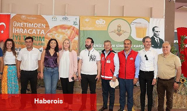 2023 yılı narenciye ihracatında hedef 1 milyar doları aşmak - Haberois 2023 yılı narenciye ihracatında hedef 1 milyar doları aşmak
