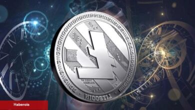 3 Gün Kaldı: Litecoin Halving Piyasayı Nasıl Tesirler?
