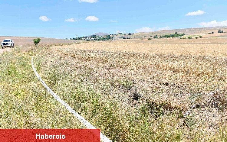 90 bin dekarlık arazi sulu tarıma kavuştu - Haberois 90 bin dekarlık arazi sulu tarıma kavuştu